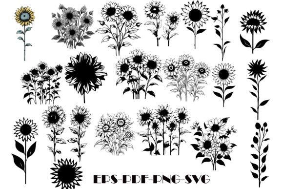 Download Sunflower Silhouettes - Premium Resources